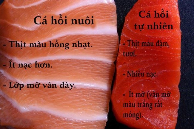Cá hồi tự nhiên và cá hồi nuôi