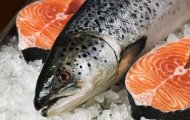 Những thông tin cần biết về cá hồi nhập khẩu