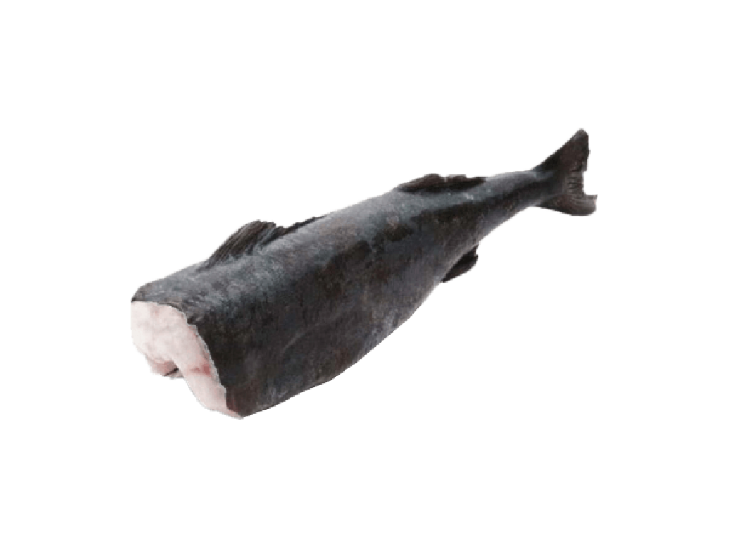 Cá Tuyết Alaska không đầu