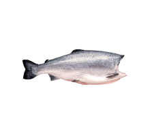 Cá Hồi Đông Lạnh Nguyên Con 3-5kg