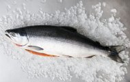 Kinh Nghiệm Lựa Chọn Sản Phẩm Cá Hồi Na Uy Nguyên Con Size 6-7 kg