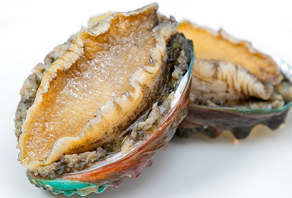 Bào Ngư