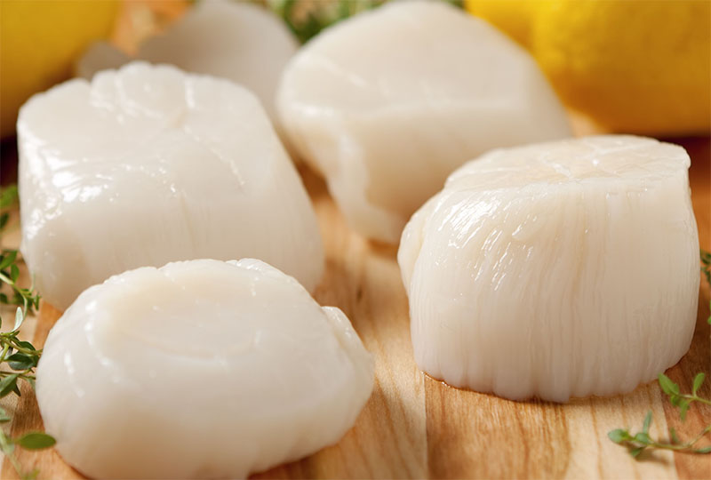 Cồi sò điệp