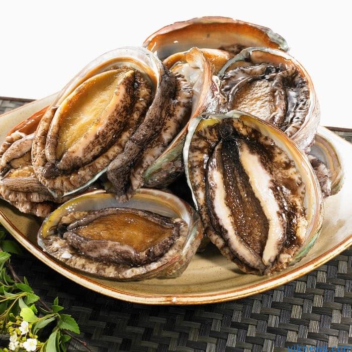 Bào Ngư Tươi Ngon