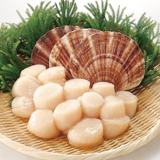 còi sò điệp