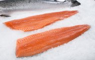 CÁ HỒI TƯƠI – LỰA CHỌN VÀNG CHO BỮA ĂN GIÀU OMEGA-3