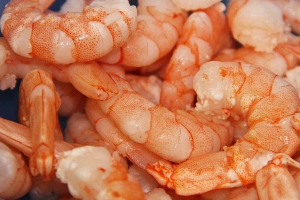 cá hồi tươi, cá hồi giá tốt, cá hồi nhập