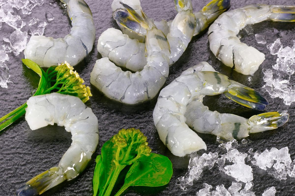 cá hồi tươi, cá hồi giá tốt, cá hồi nhập