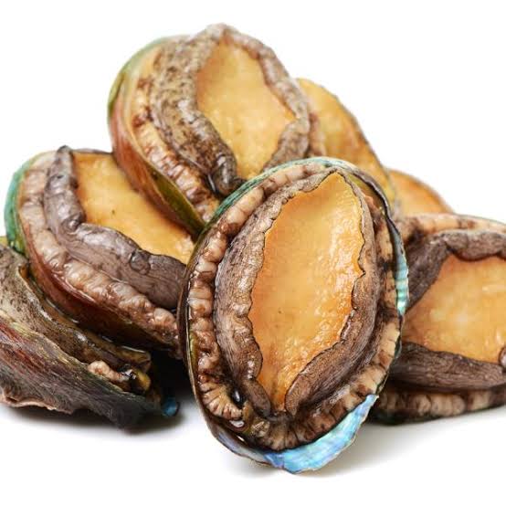 bào ngư