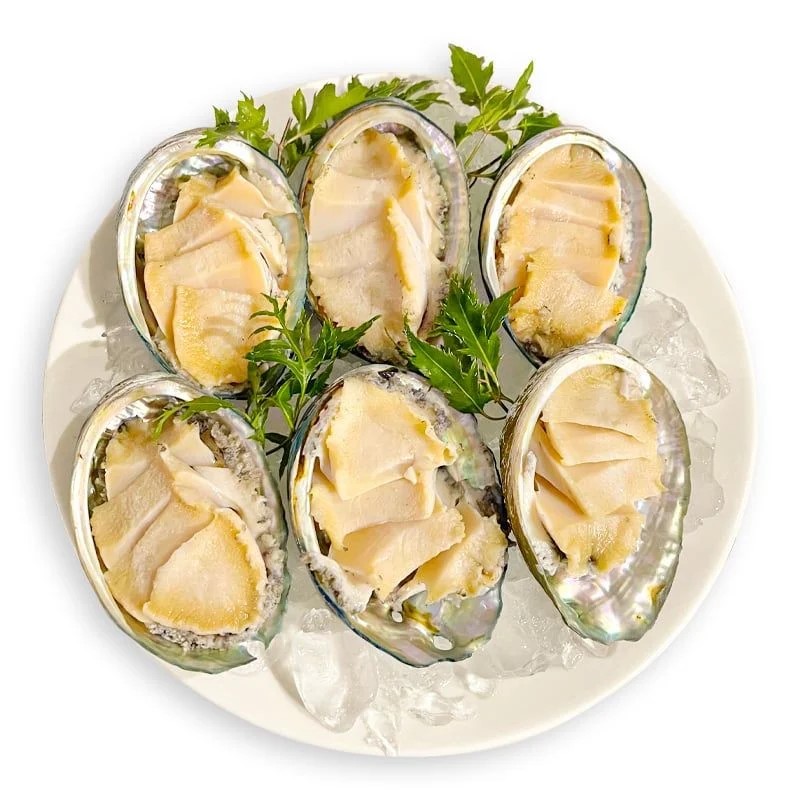 bào ngư
