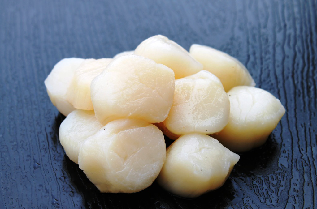 cồi sò điệp