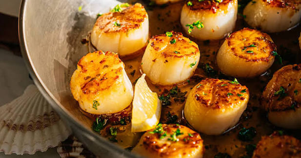 cồi sò điệp