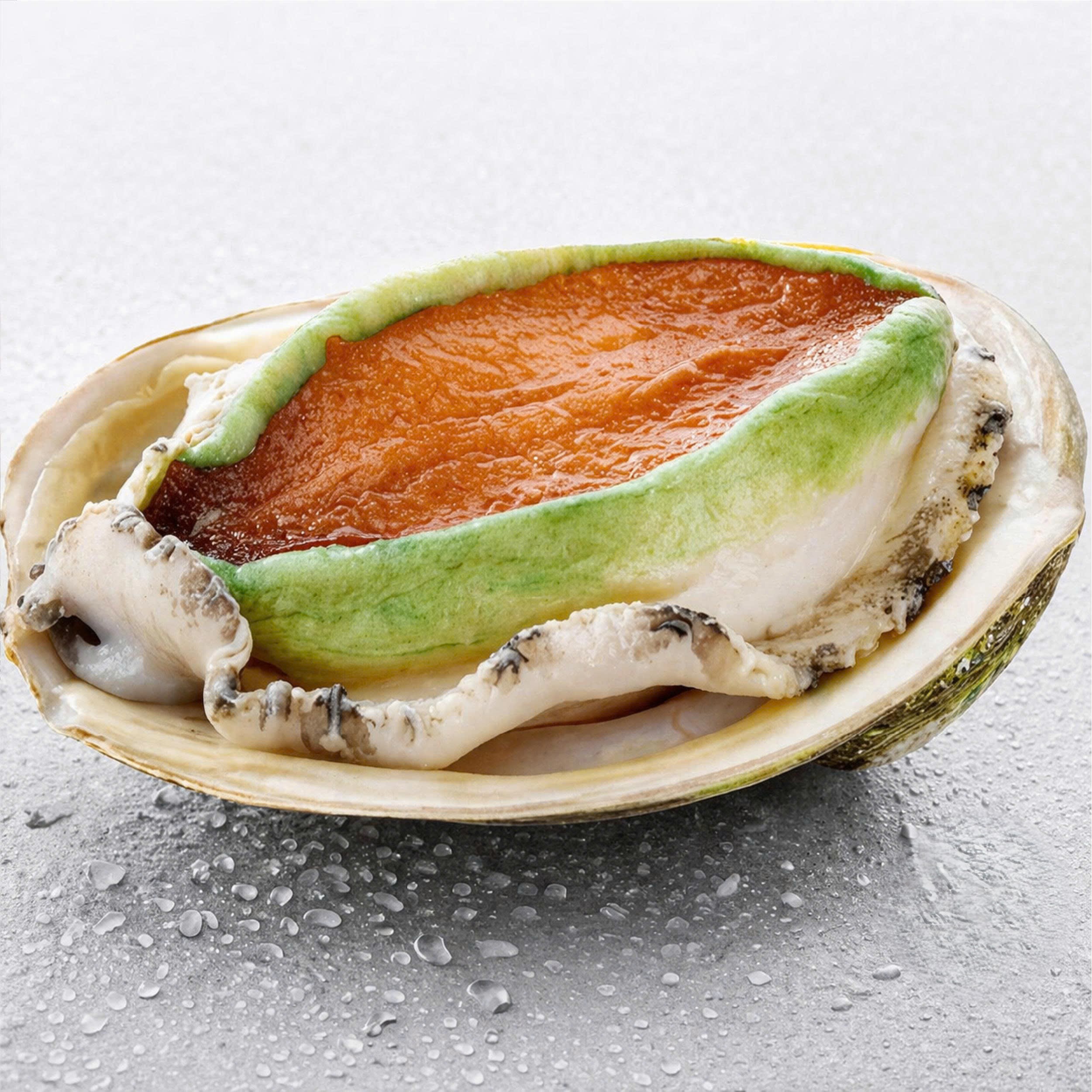 bào ngư