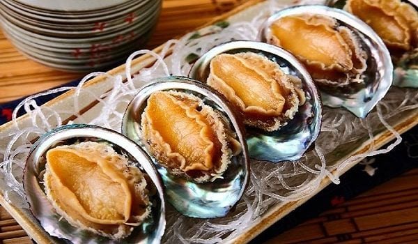 bào ngư hàn quốc
