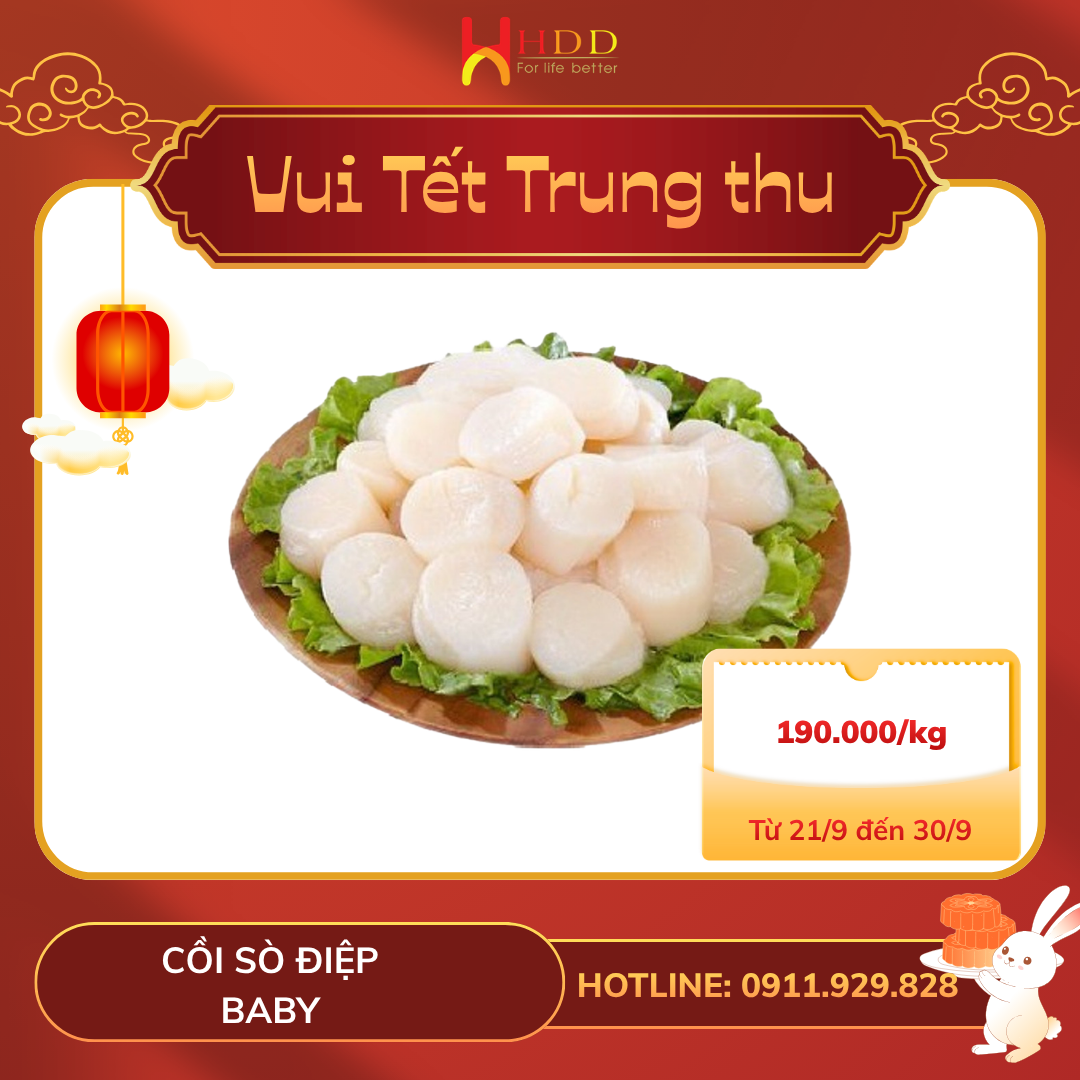 Cồi sò điệp Baby ưu đãi 190.000 đồng mỗi kilogram