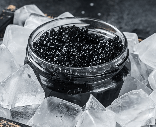 Trứng cá tầm Calvisius Beluga